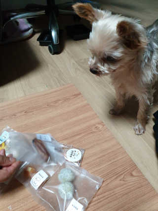 토리찡님이 올린 리뷰 사진 3