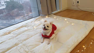 Iny님이 올린 리뷰 사진 4