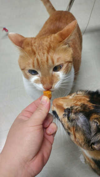 오나오나님이 올린 리뷰 사진 4