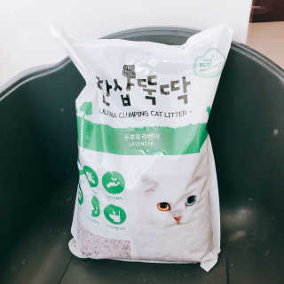 [펫토리아] BEST 고양이두부모래 6L 한삽뚝딱 — 3점을 준 리뷰어가 2019년 1월 올린 사용 사진