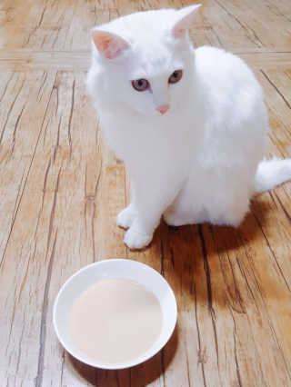 제시님이 올린 리뷰 사진 1