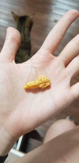 네롱이님이 올린 리뷰 사진 3