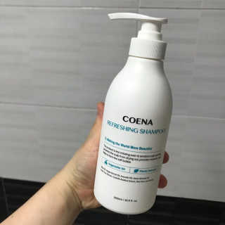 코에나샴푸 500ml — 5점을 준 리뷰어가 2019년 7월 올린 사용 사진