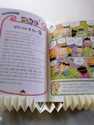레빗♡깡총님이 올린 리뷰 사진 1