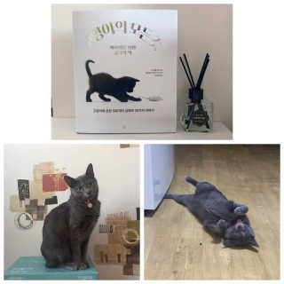 daheee님이 올린 리뷰 사진 1