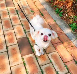 이경진님이 올린 리뷰 사진 1