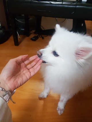iy1129님이 올린 리뷰 사진 3