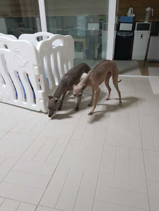 이다금님이 올린 리뷰 사진 4