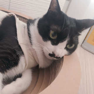 밍미이님이 올린 리뷰 사진 2