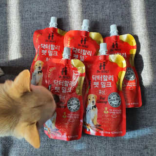 닥터할리펫밀크 8종 — 5점을 준 리뷰어가 2020년 2월 올린 사용 사진