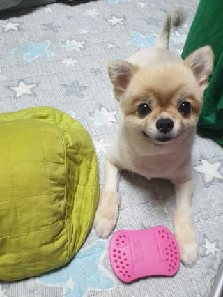 김릴리님이 올린 리뷰 사진 1