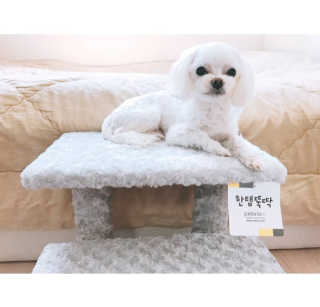 그늘이님이 올린 리뷰 사진 1