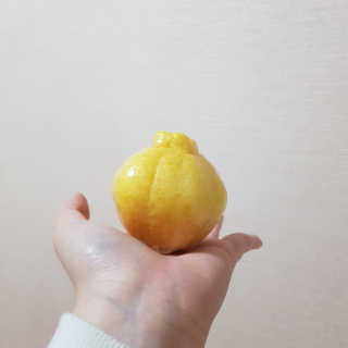 홍is뭔들님이 올린 리뷰 사진 4
