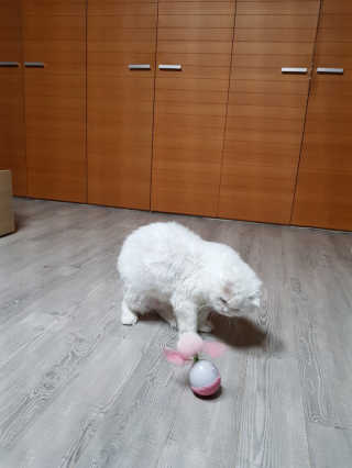 boggybok님이 올린 리뷰 사진 4