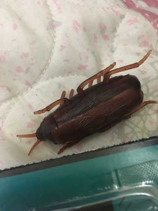 요미님이 올린 리뷰 사진 1