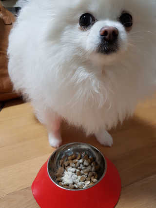 신이신이님이 올린 리뷰 사진 2