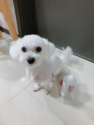 우주님이 올린 리뷰 사진 1