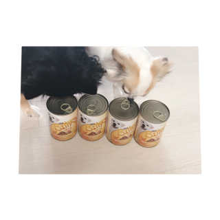 [펫토리아]배피 고양이,빌리강아지 대용량주식캔 — 5점을 준 리뷰어가 2019년 7월 올린 사용 사진