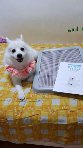 블리블리♡은블리♡님이 올린 리뷰 사진 2