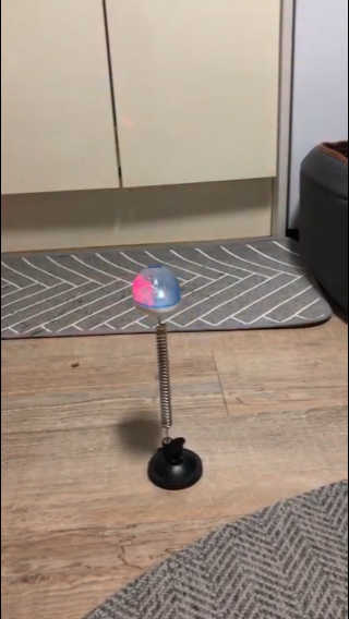 거니건이님이 올린 리뷰 사진 2