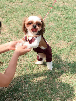 양돌이님이 올린 리뷰 사진 1