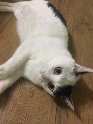 퀸민님이 올린 리뷰 사진 3