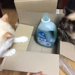 JungheeKim님이 올린 리뷰 사진 2