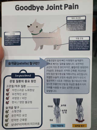 잠보아 뉴트리페어 굿바이 조인트페인 — 5점을 준 리뷰어가 2019년 12월 올린 사용 사진