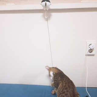 시나마나애영님이 올린 리뷰 사진 4