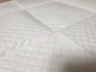 페츠모아 냄새잡는 요술배변패드 — 5점을 준 리뷰어가 2020년 3월 올린 사용 사진
