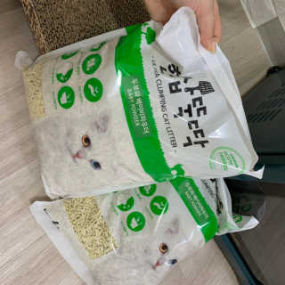 [펫토리아] BEST 고양이두부모래 6L 한삽뚝딱 — 4점을 준 리뷰어가 2019년 2월 올린 사용 사진