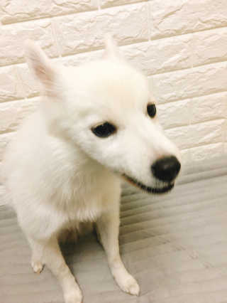 버내노님이 올린 리뷰 사진 4