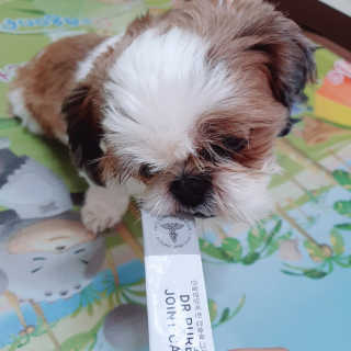 유낼님이 올린 리뷰 사진 3