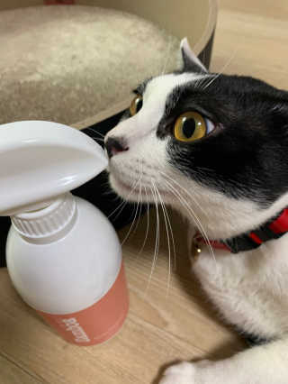 발우공양님이 올린 리뷰 사진 1