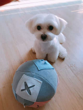 전아현님이 올린 리뷰 사진 1