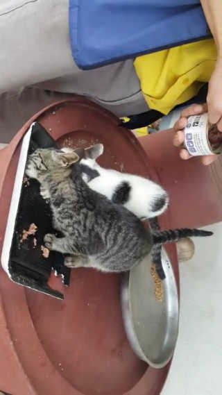승희님이 올린 리뷰 사진 4
