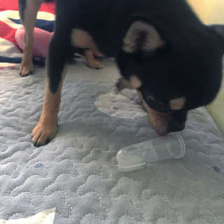 현진님이 올린 리뷰 사진 3