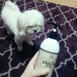 노현주님이 올린 리뷰 사진 2