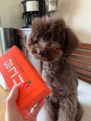콩지님이 올린 리뷰 사진 3