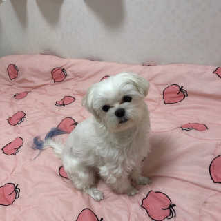 홍지윤님이 올린 리뷰 사진 3