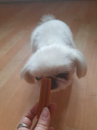 JihyejihyeNam님이 올린 리뷰 사진 4