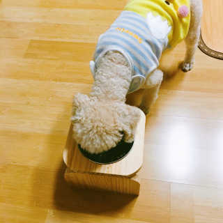 김스타님이 올린 리뷰 사진 3