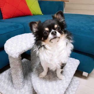 빵갱님이 올린 리뷰 사진 1