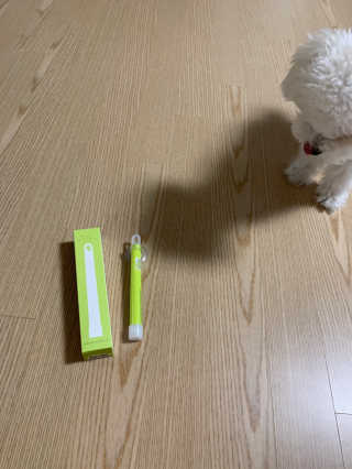 Ella님이 올린 리뷰 사진 3