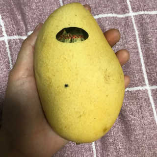 시작님이 올린 리뷰 사진 2