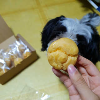 가횽님이 올린 리뷰 사진 2