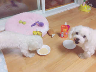 얌야미님이 올린 리뷰 사진 4