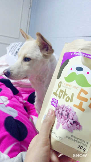 노는게젤쥬아님이 올린 리뷰 사진 3