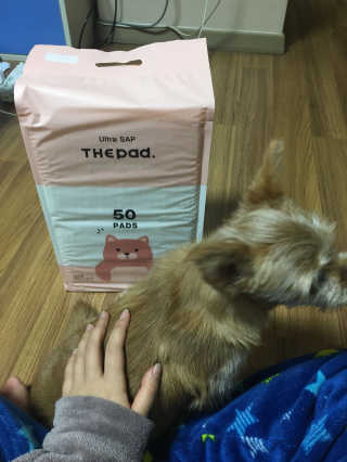egogo님이 올린 리뷰 사진 1