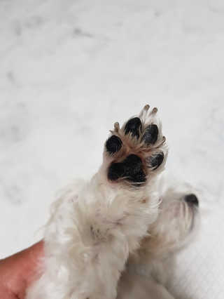 찡님이 올린 리뷰 사진 4
